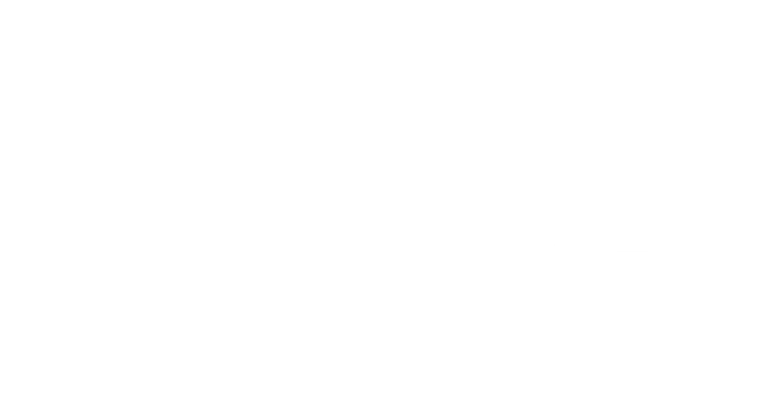 Logo-PRIMAX-1 w