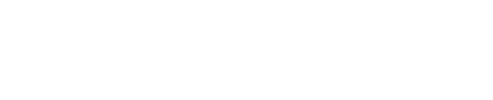 OX Investment Logo white